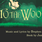 forest with moon shining through tree branches. 